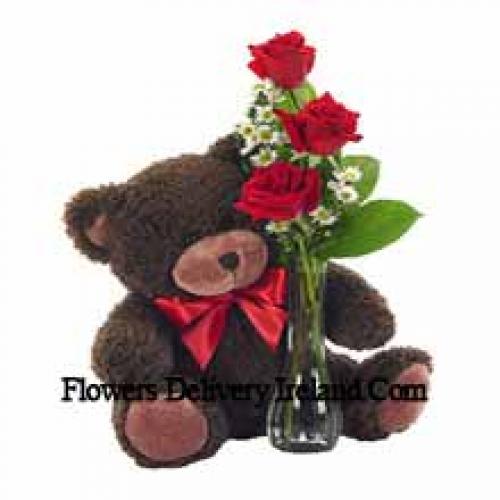 3 Red Roses with Beautiful 14 Inch Teddy