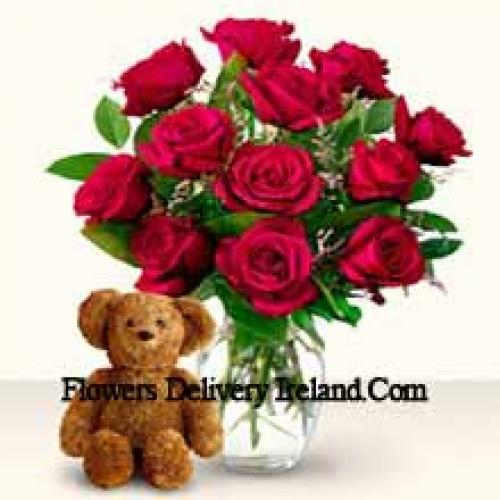 11 Red Roses with Cute 12 Inch Teddy