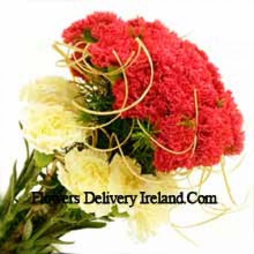 37 Red and Yellow Carnations