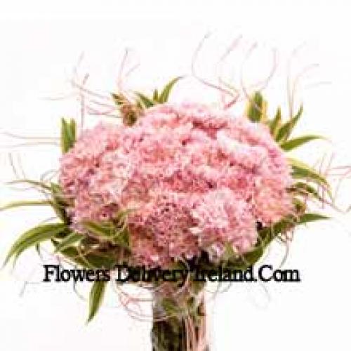 25 Pretty Pink Carnations