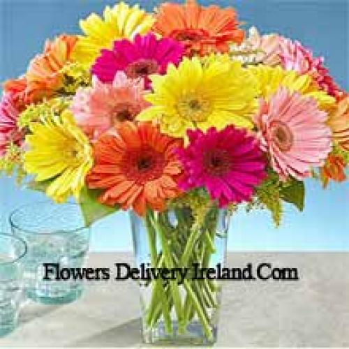 25 Pretty Mixed Gerberas