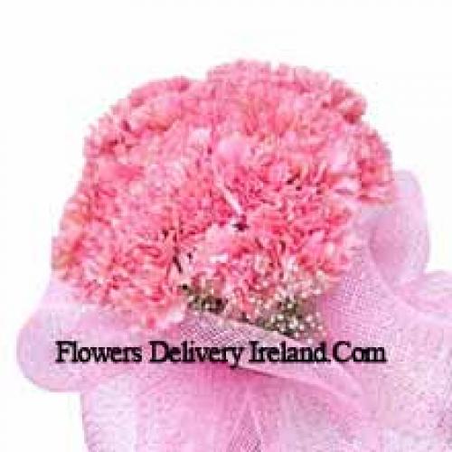 Cute 25 Pink Carnations