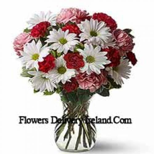 Cute 25 Carnations and Gerberas