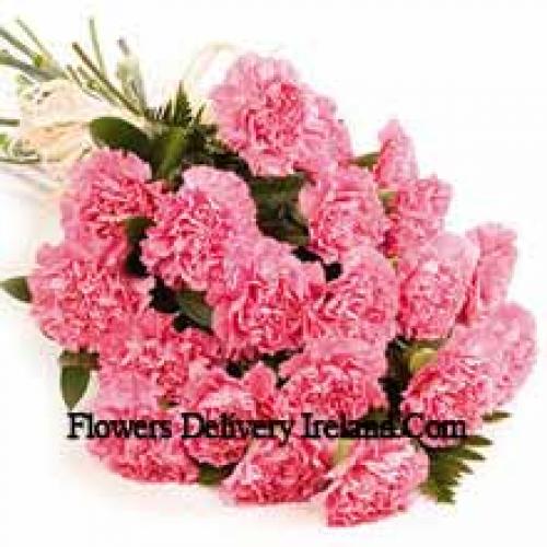 25 Charming Carnations