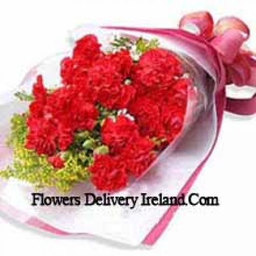 19 Wrapped Carnations