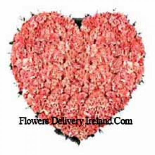 101 Pink Heart Carnations