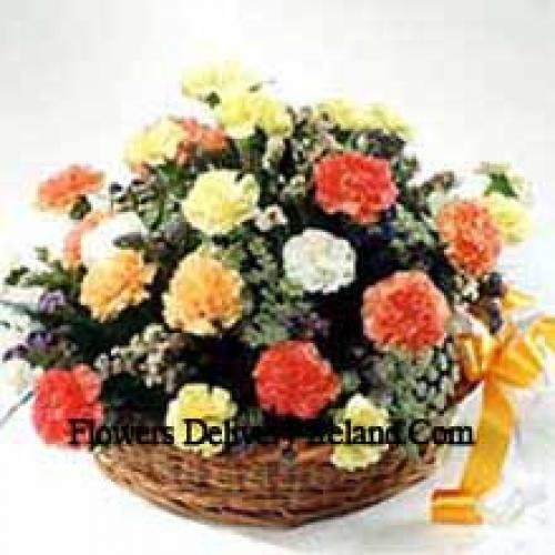 Elegant 25 Mixed Carnations