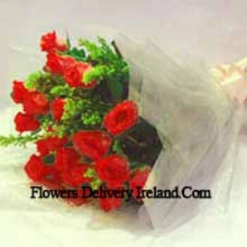 11 Exotic Red Roses