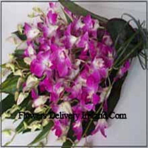 Cute Orchids Bunch