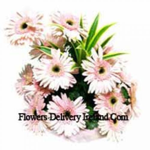 15 Pink Gerberas Basket