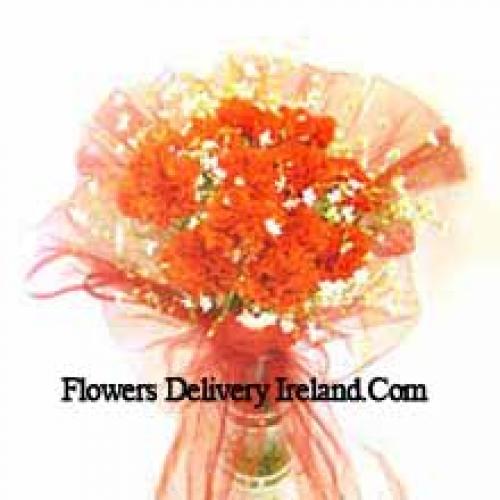 11 Orange Carnations in Vase