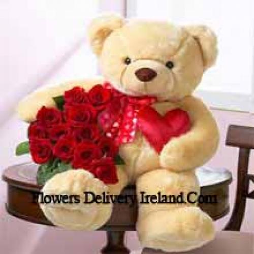 11 Cute Roses with 24 Inch Teddy